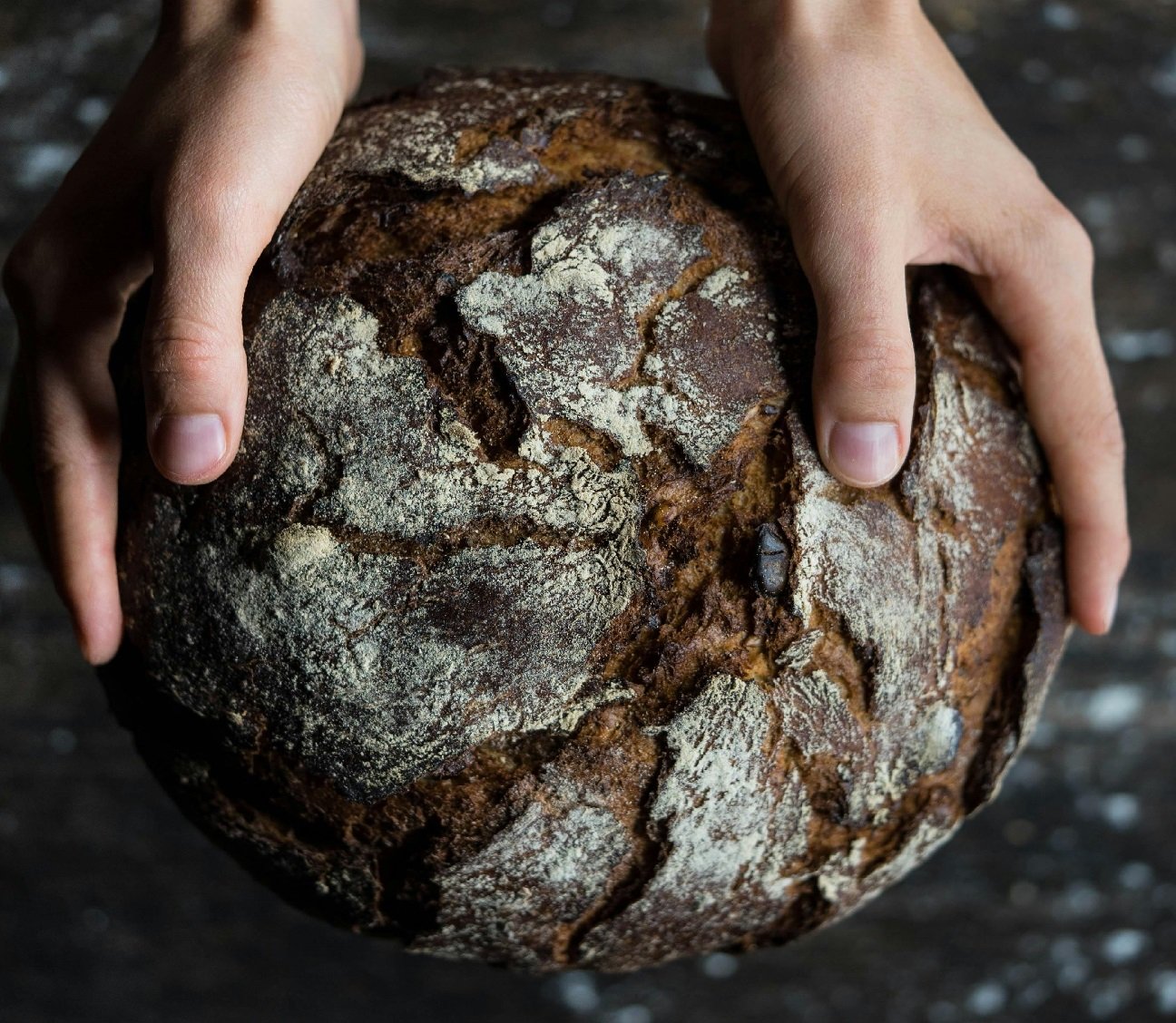 **Exploring the Intersection of Vegan Food, Government-Funded Programs, and Pyrolysis**